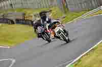 brands-hatch-photographs;brands-no-limits-trackday;cadwell-trackday-photographs;enduro-digital-images;event-digital-images;eventdigitalimages;no-limits-trackdays;peter-wileman-photography;racing-digital-images;trackday-digital-images;trackday-photos